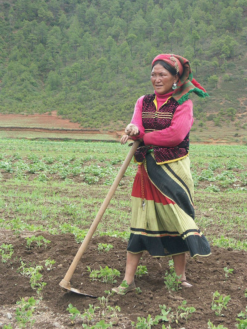 A Mosuo farmer. (Photo: Zoharby/Wikipedia/goo.gl/MsMWxc)
